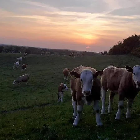 Green Adventure Ecohostel