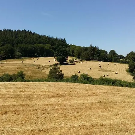 Green Adventure Ecohostel