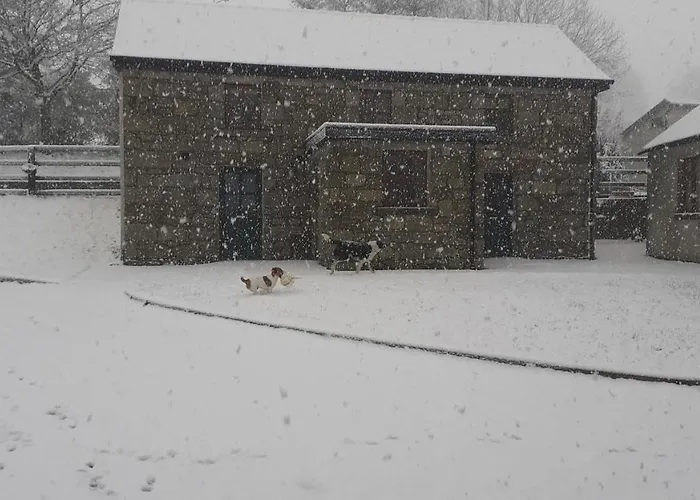 Green Adventure Ecohostel *