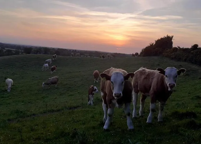 Green Adventure Ecohostel