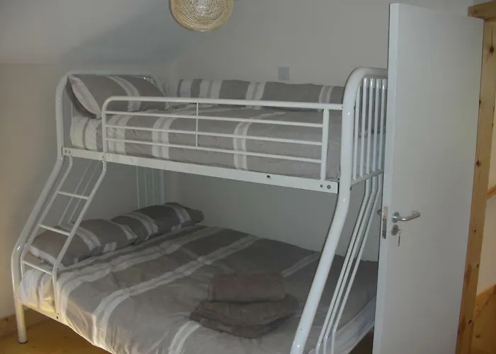 Green Adventure Ecohostel 호스텔