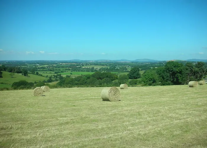 호스텔 Green Adventure Ecohostel