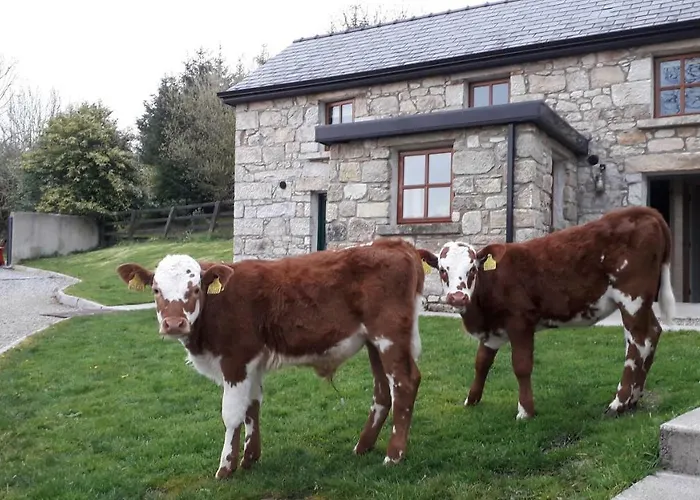 호스텔 Green Adventure Ecohostel *